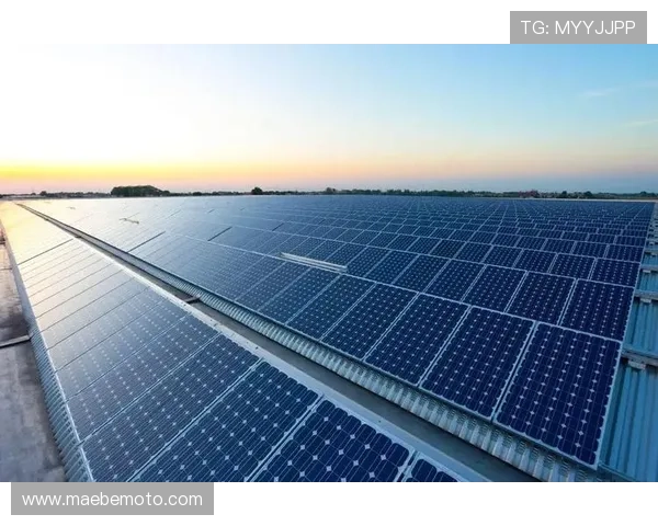 ag现金电投网——为电投行业从业者和投资者提供精准的市场分析和行业信息解读